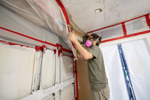 Best Air Quality Testing for Mold Spores  in West Covina, CA