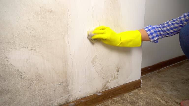 Best Commercial Mold Inspection  in West Covina, CA