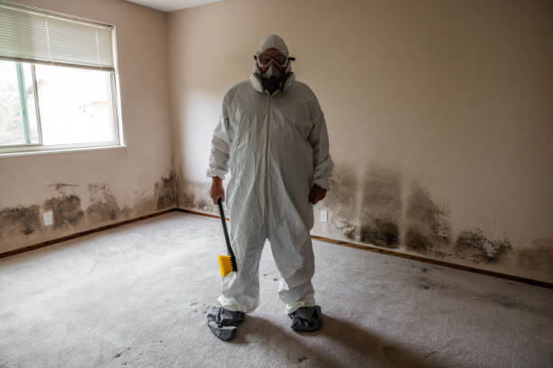 Best Industrial Mold Remediation  in West Covina, CA