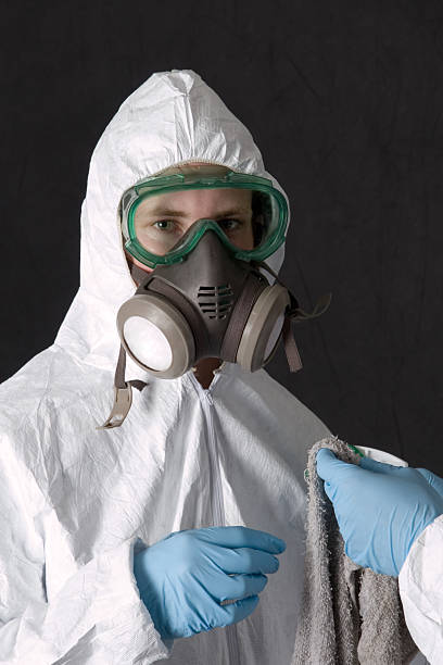 Best Mold Odor Removal Services  in West Covina, CA