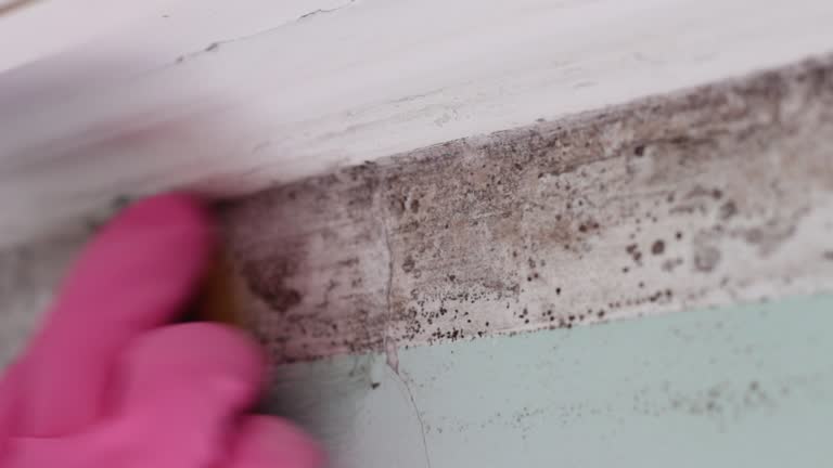 Best Residential Mold Inspection & Testing  in West Covina, CA